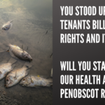 Image of dead fish in the river, with the headline "you stood up for the tenants bill of rights and it passed. will you stand up for our health and the Penobscot River?"