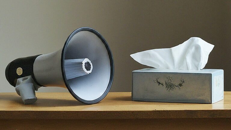 Picture of a megaphone on a table next to a box of tissues.