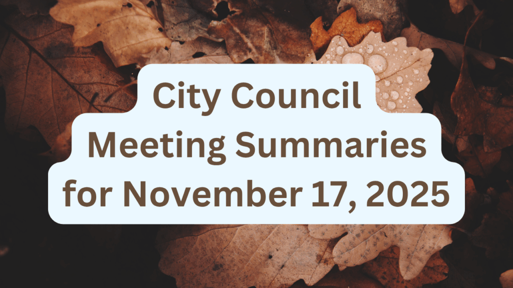 City Council Meeting Summaries for November 17, 2025