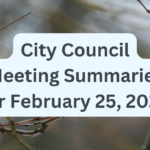 City Council Meeting Summaries for February 25, 2026